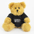 Coloured T-Shirt Bear III 25cm Sparkie Bear